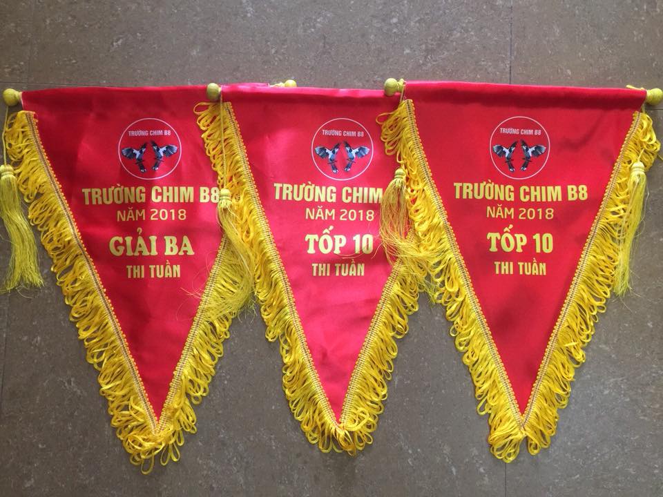 Cờ lưu niệm hình tam giác - INCONI