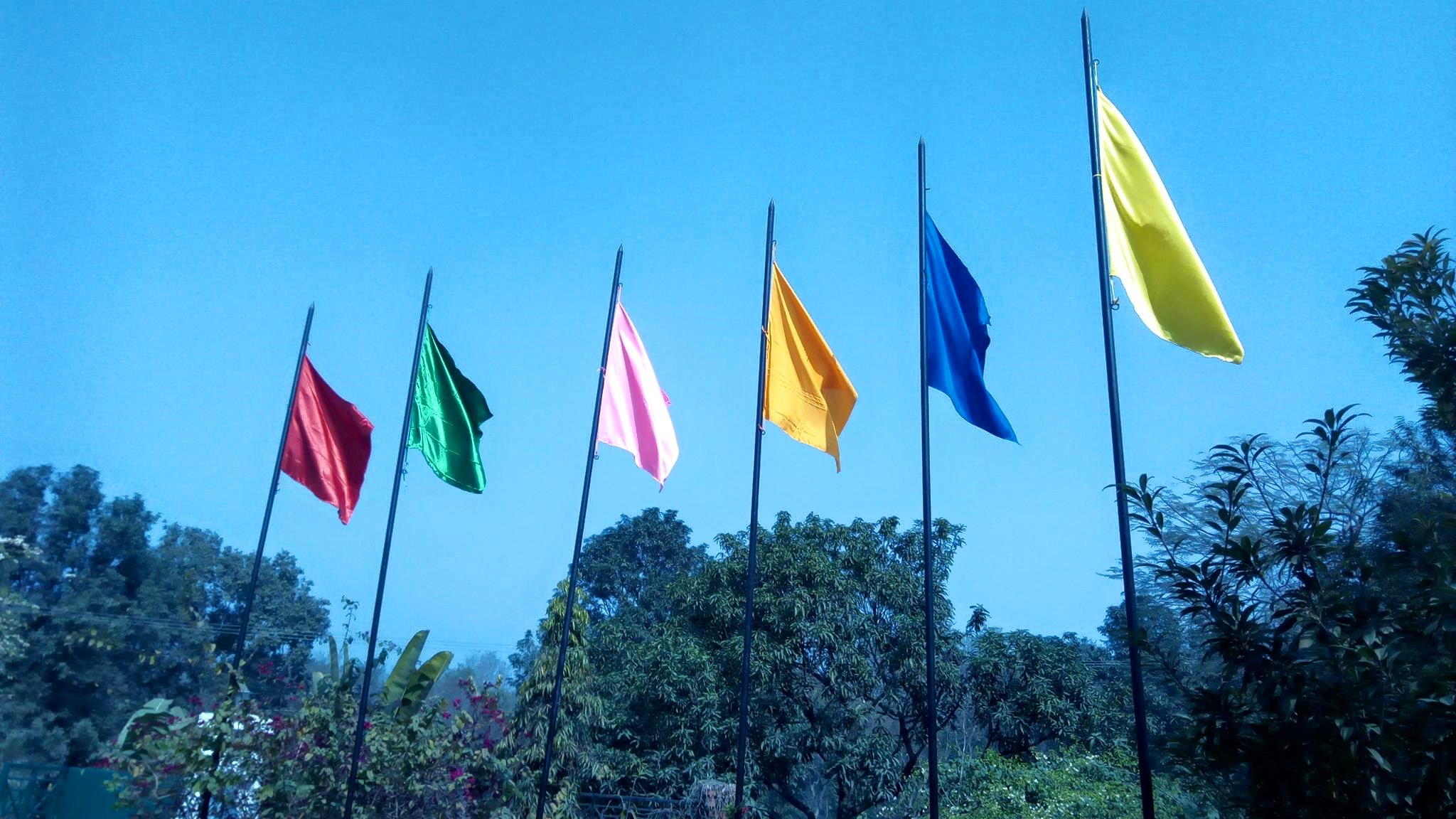 Cờ Chuối – Xưởng In Cờ INCONI, Bền Đẹp, Sắc Nét 2 cờ chuối