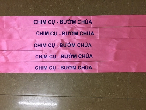 Làm Băng Rôn Đeo Đầu - Xưởng INCONI 3 Làm băng rôn đeo đầu xưởng in cờ INCONI sản xuất trực tiếp tại Hà Nội