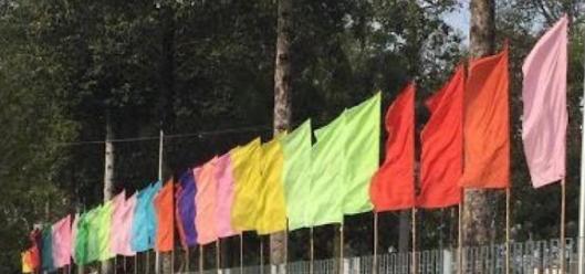 cờ chuối nhiều màu