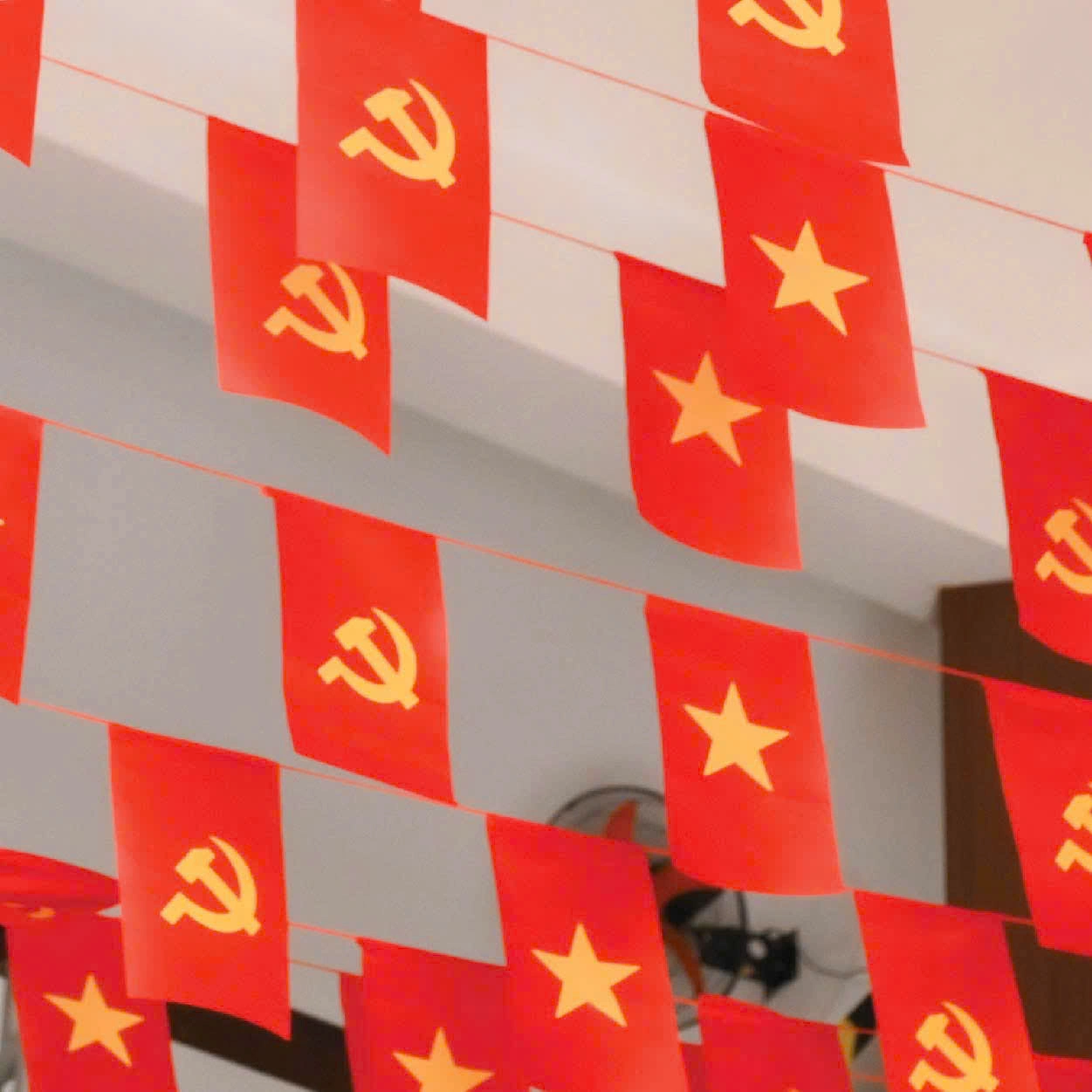 co day to quoc dang vai phi 10m 1