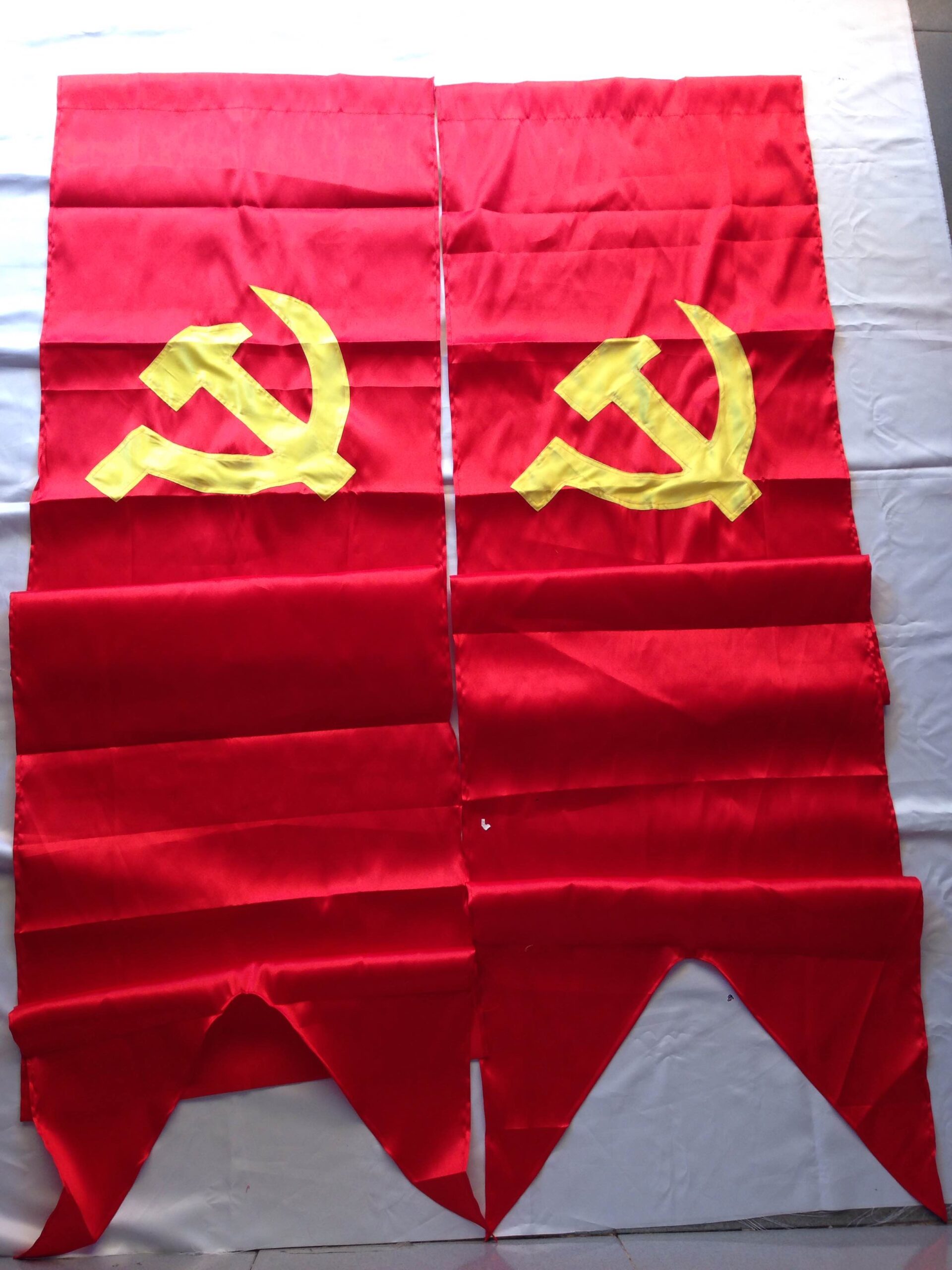 co duoi nheo 1 scaled