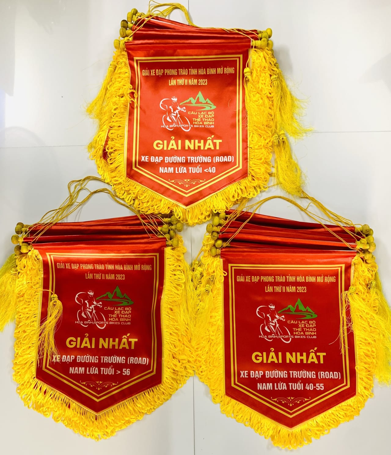 Bán Cờ Lưu Niệm - INCONI 2 Bán cờ lưu niệm giá rẻ - INCONI