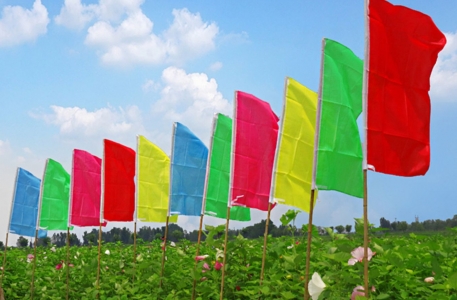 Cờ phướn chuối – Xưởng in cờ INCONI tại Hà Nội, chất liệu vải phi bóng 2 cờ phướn chuối