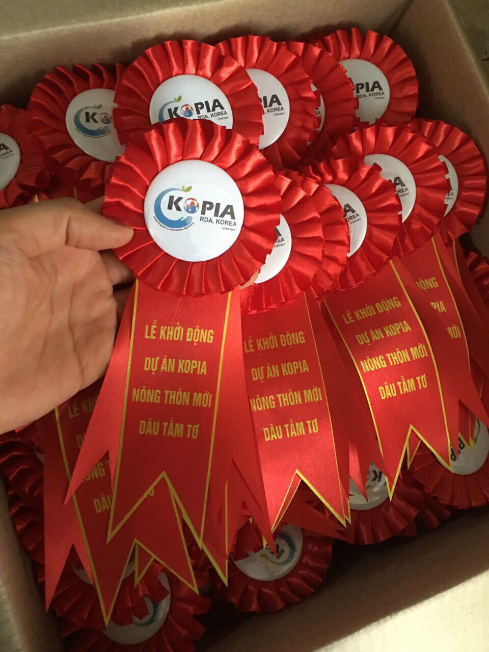 Hoa Cài Áo Suit – INCONI