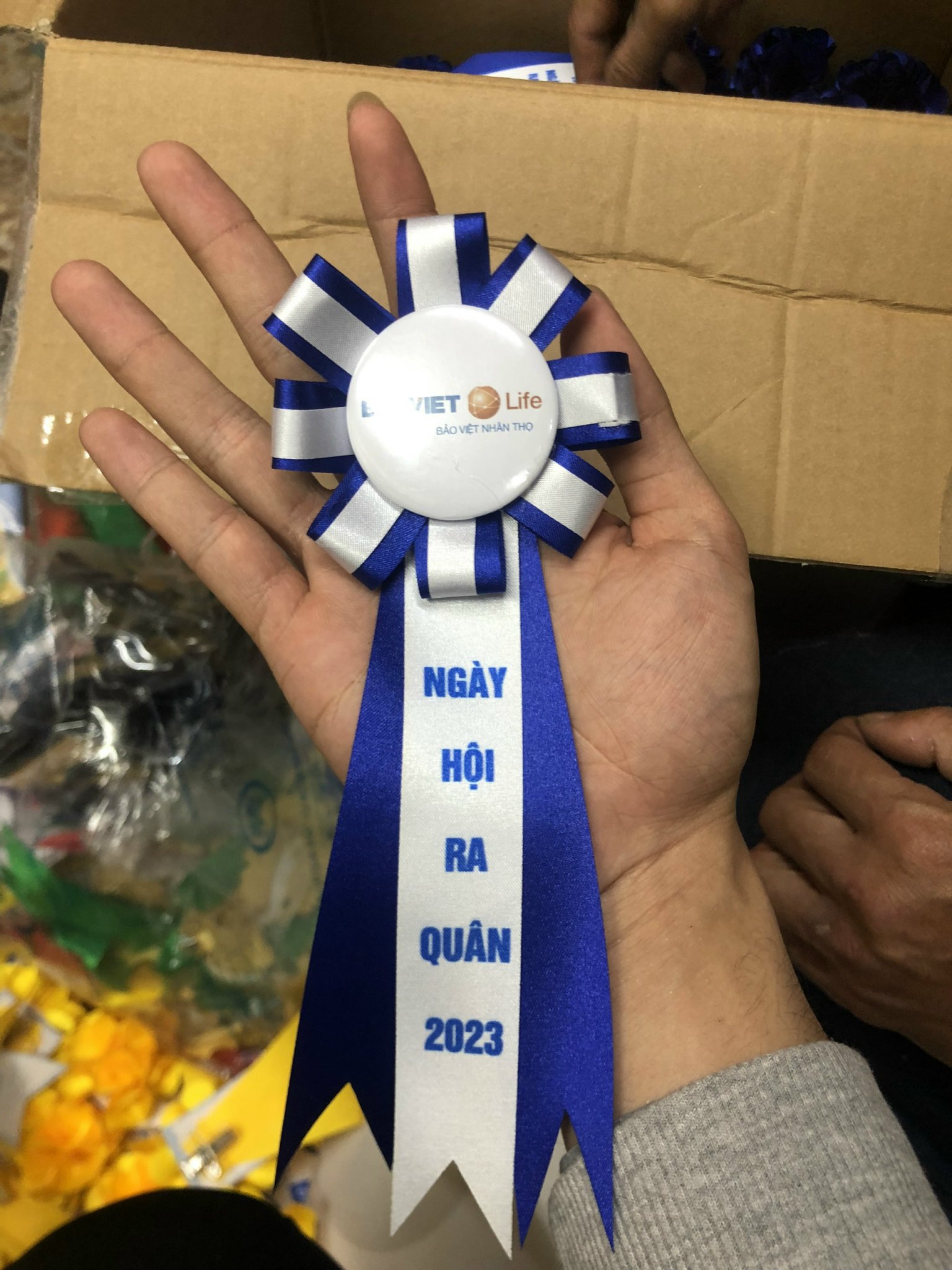 Mua Hoa Cài Áo Ở Thành Phố Hồ Chí Minh