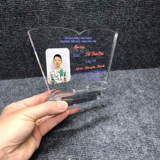 Cúp lưu niệm mica – Xưởng INCONI tại Hà Nội 5 016 ky niem chuong cuon sach 1 1 540x540 1