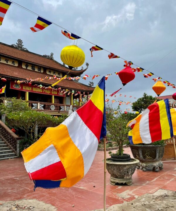 118a69b8 d011 4c67 9d37 421f6412a085 600x720 1