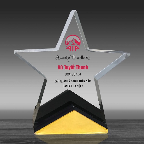 Làm Cúp Lưu Niệm Hà Nội – Giá Rẻ tại INCONI