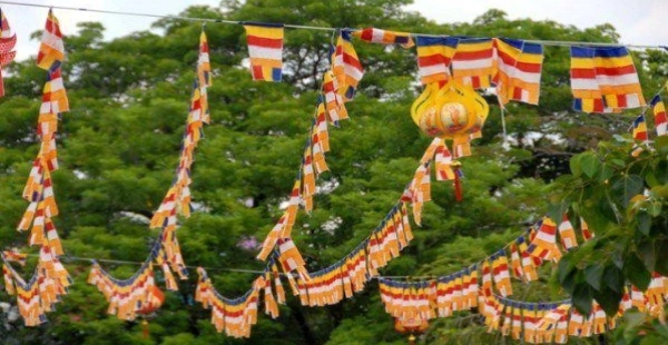 co day phat giao 1707113156