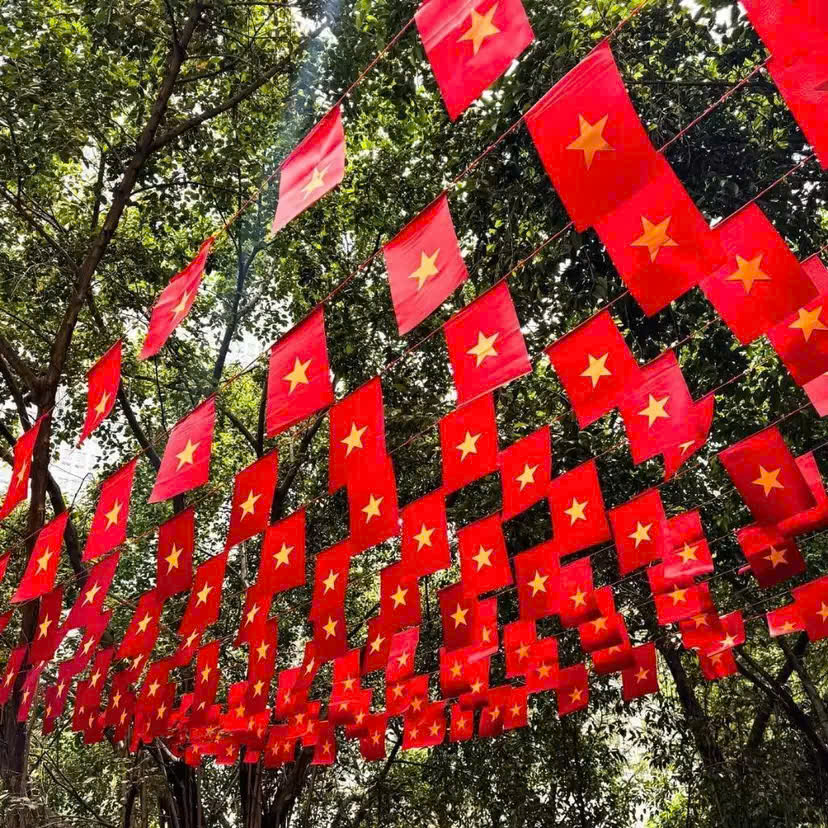 Cờ dây Tổ Quốc bán ở đâu – Xưởng in cờ INCONI tại Hà Nội