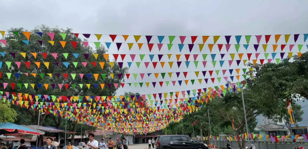 co day trang tri nhieu mau