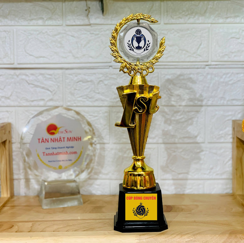 Cúp Lưu Niệm Bóng Chuyền - Xưởng INCONI Hà Nội 5 Cúp lưu niệm bóng chuyền - INCONI