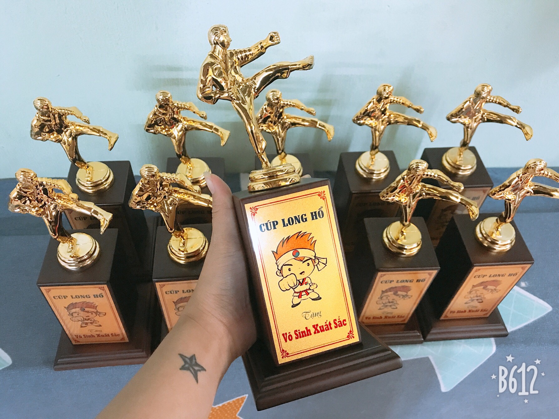 Cúp Lưu Niệm Thành Phố Hồ Chí Minh – INCONI