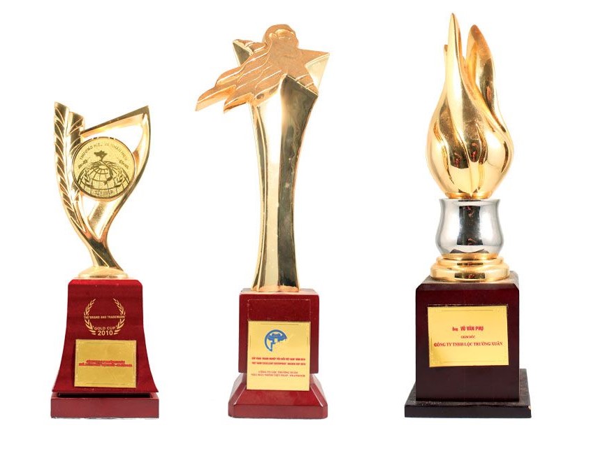 Làm cúp lưu niệm TPHCM – Xưởng INCONI 4 cup luu niem 3 3