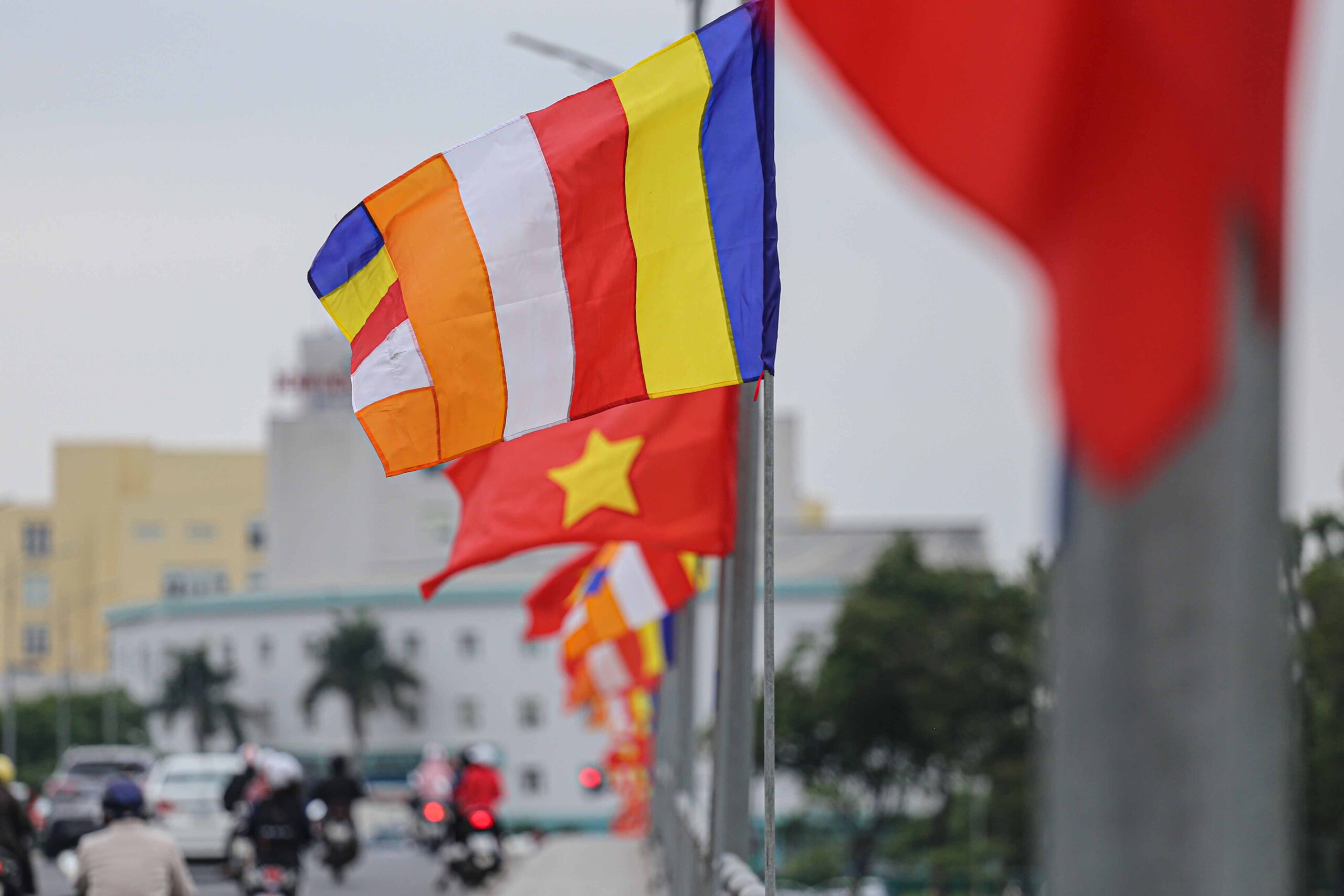 img 7727 9564 scaled